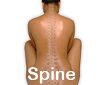 dorn spine selfhelp exercise
